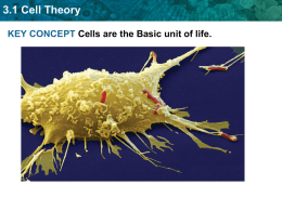 3.1 Cell Theory There are two cell types: eukaryotic cells and