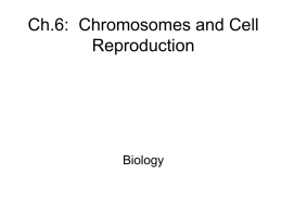 Ch.6: Chromosomes and Cell Reproduction