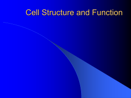 Cell Structure and Function