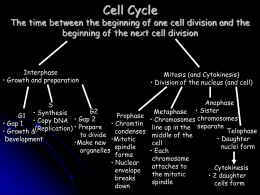 Cell Cycle The time between the beginning of one cell division and