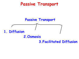 Transport Across Cell Membrane (Powerpoint)