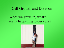 Cell growth and division powerpoint
