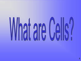 Cells - Quia