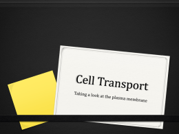 Cell Membrane PPT