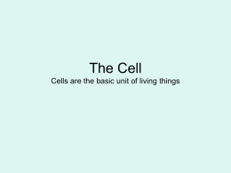 The Cell ppt.