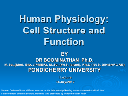 Human Physiology: Cell Structure and Function