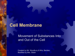 4.1 Cell Membrane & Transport PPTcell_membrane