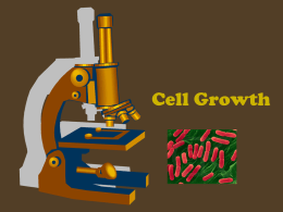 Biology I 1/5/07 Cell Division & Chromosomes
