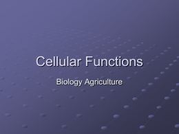 Cellular Functions