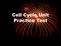 Cell Cycle Unit Practice Test
