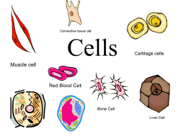 Cells - SCHOOLinSITES