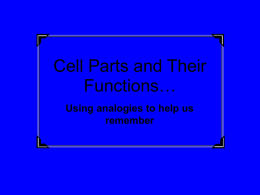Cell Parts and Their Functions…