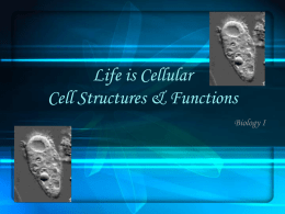 Life is Cellular Cell Structures & Functions