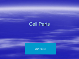 Cell Parts - Humble ISD
