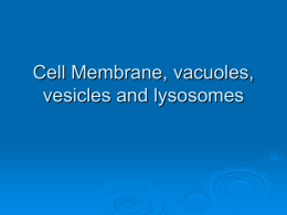 Cell Membrane, vacuoles, vesicles and lysosomes