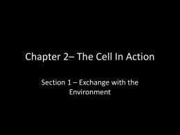 Ch 6 - ATP and Energy Cycles