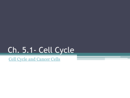 Ch. 5.1- Cell Cycle