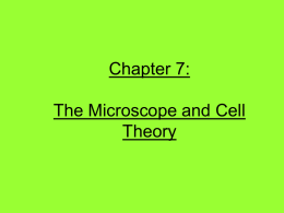 Cell Theory and the Cell