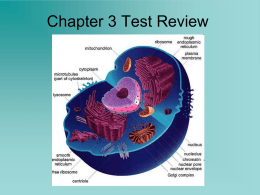 Cell Structure, Function, and Transport Review Power point