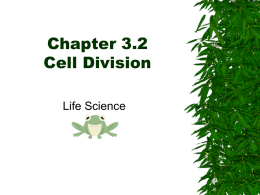 Chapter 3.2 Cell Division