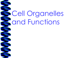 Cell Organelles and Functions