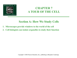 chapter 7 a tour of the cell