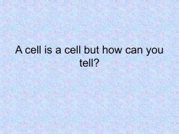 Intro to cells