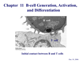 Signal Transduction Pathways and the Activation of B Cells