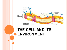 Cell Membrane Notes