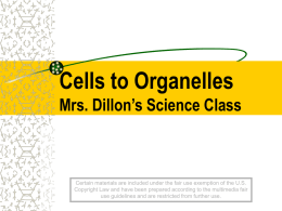Plant Cell Organelle Functions