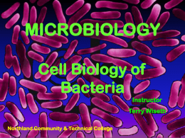 A. Cell Biology of Bacteria