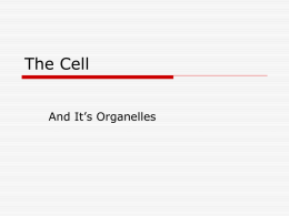 The Cell - Cobb Learning