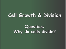 cp bio cell cycle mitosis powerpoint 2014
