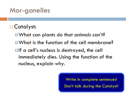 1.4 Energy Organelles, Plants and Animals