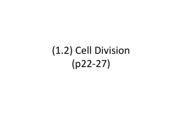 (1.2) Cell Division (p22-27)