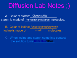 File - Ricci Math and Science