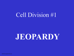 Jeopardy 1-Mitosis only - local.brookings.k12.sd.us