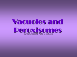 Vacuoles and Peroxisomes