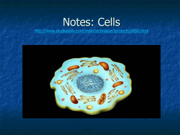 2013 cell types organelles Notes Pre AP(rev) 2