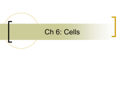 Ch 6: Cells