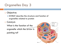 Organelles Day 3 - JhaveriChemBioWiki