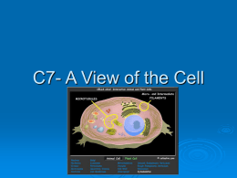 C7- A View of the Cell