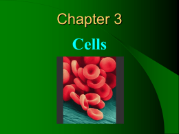 Ch. 3 Cells