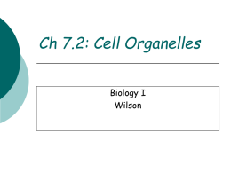 3 Bio Eukaryotic Cell Structure and Function (Ch 7.2)