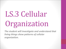 LS.3 Cellular Organization
