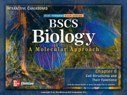 BSCS Chapter 06 - HonorsBiology2015-16
