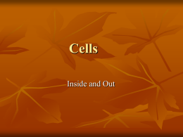 Cells - nimitz126
