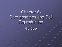 Chapter 6 - CookNScience