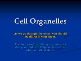 File cell organelles