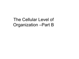 Cell structure part B